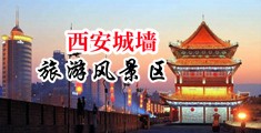 黄色片射女人逼中国陕西-西安城墙旅游风景区
